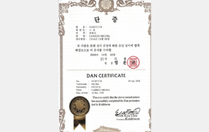 Diplome Kukkiwon 6ème Dan